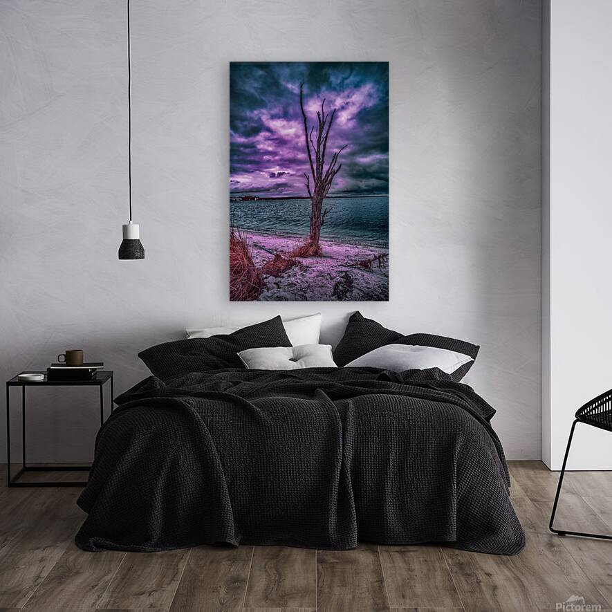 Colorful Dead Beach Tree Reproduction