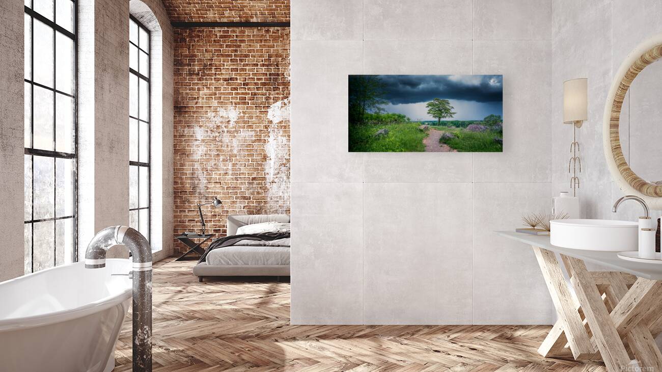 Solitude and Serenity: A Hike through Little Round Tops Enchante Reproduction