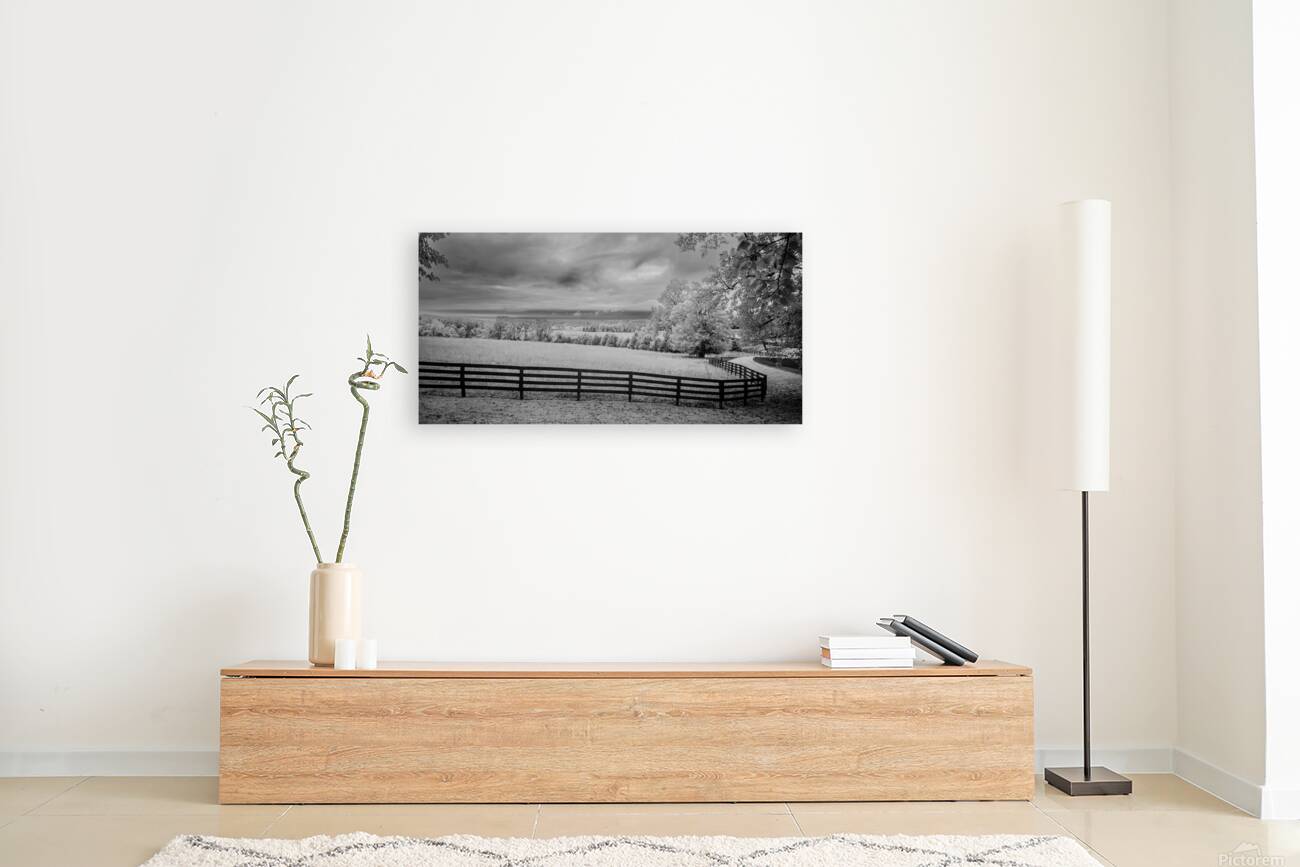 Lines of Legacy Reproduction