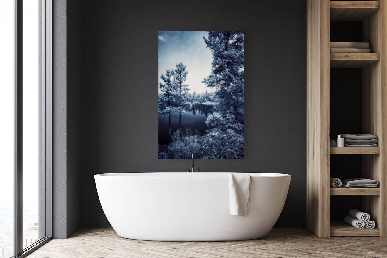 Infrared Tranquility: Capturing the Essence of Bismarck Lake Reproduction