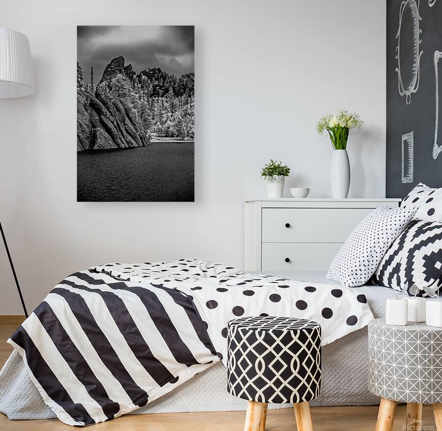 Sylvan Serenity: A Monochrome Tale of Natures Harmony in Custer  Reproduction