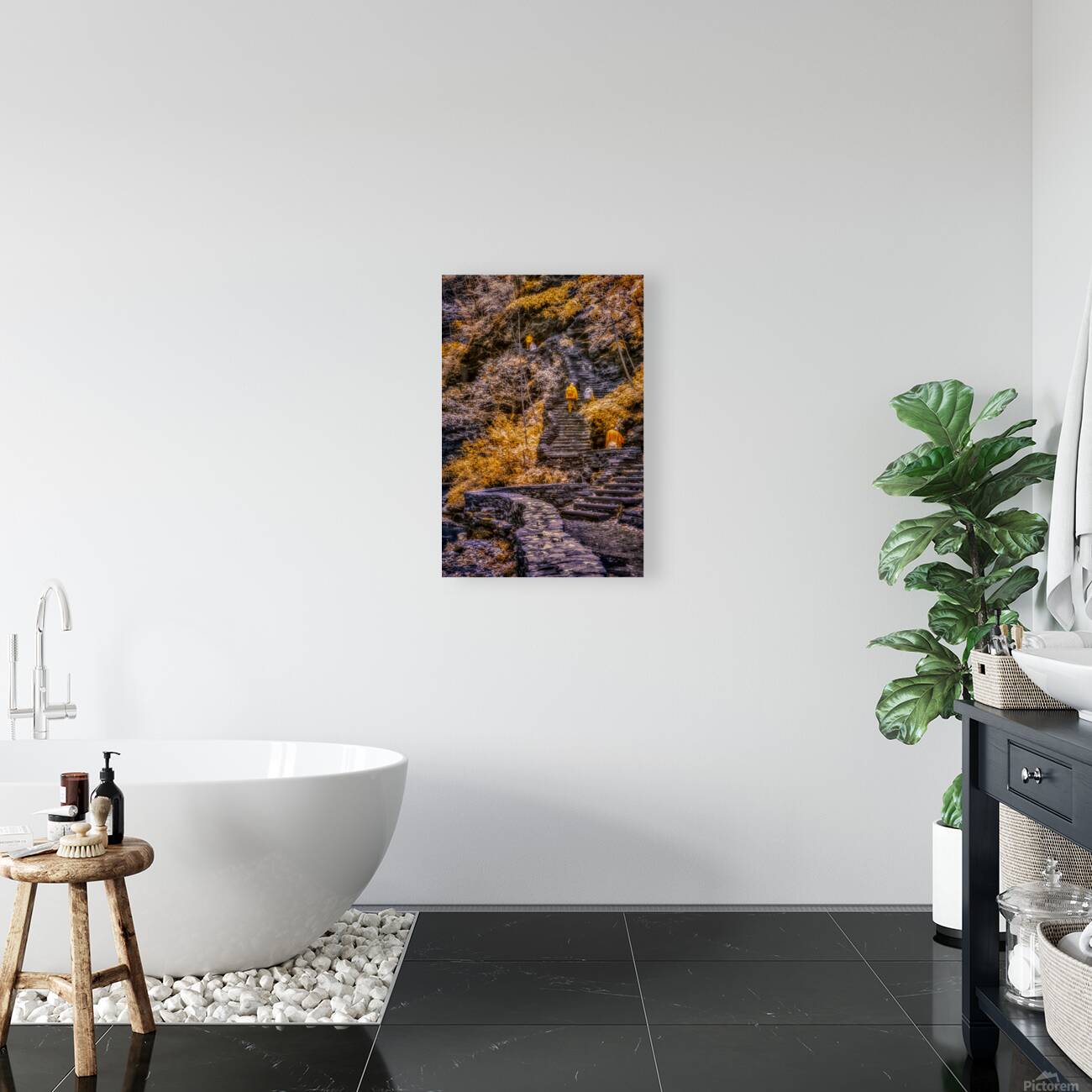 Golden Steps Ascent: A Color Infrared Symphony in Watkins Glen Reproduction