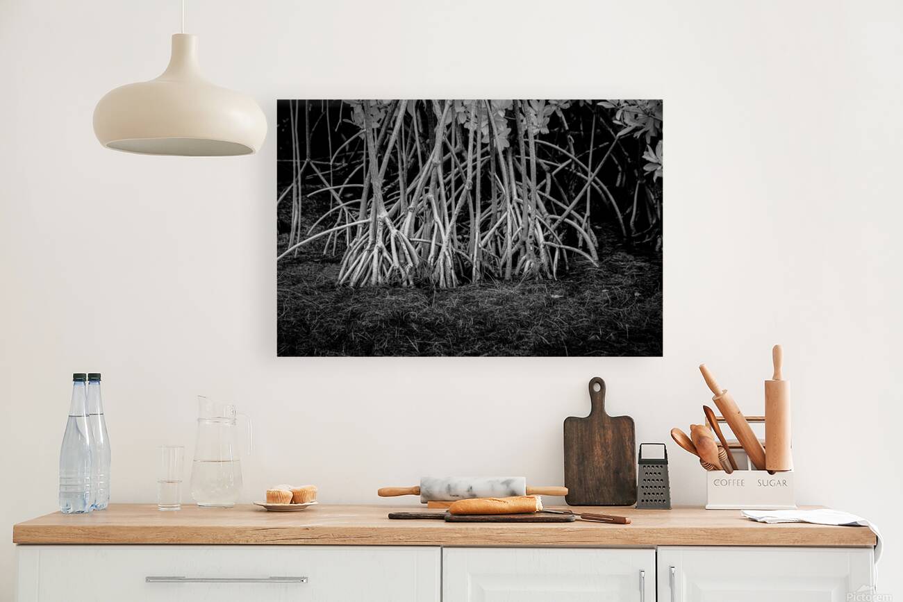 Enchanting Mangrove Tapestry: A Dance of Light and Shadows Reproduction