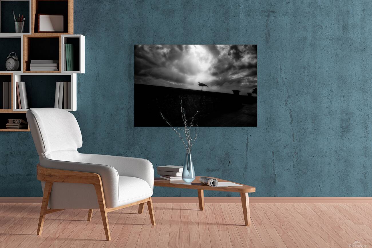 Rainy Day Stroll: Capturing Serenity with a Silhouetted Bird in  Reproduction