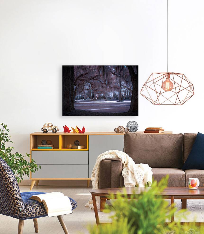 Shadows Cast by Enchanted Light Reproduction