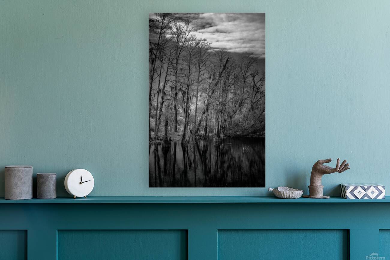 Whispers of the Bayou Reproduction