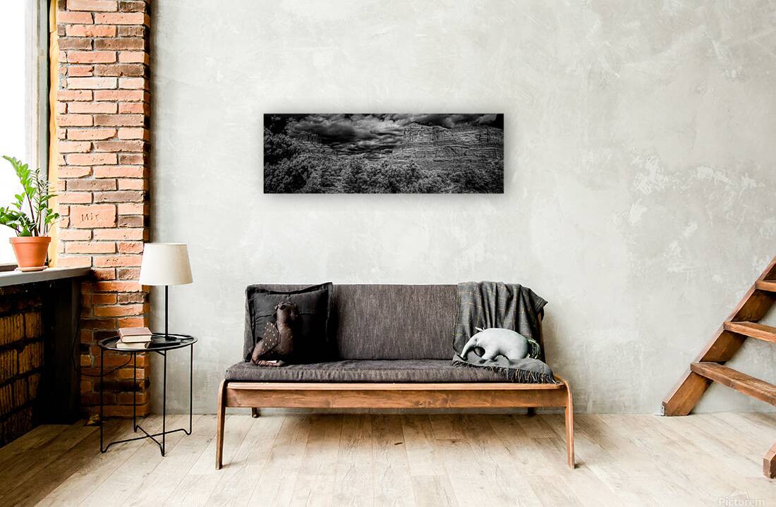 Desert Majesties in Monochrome Reproduction