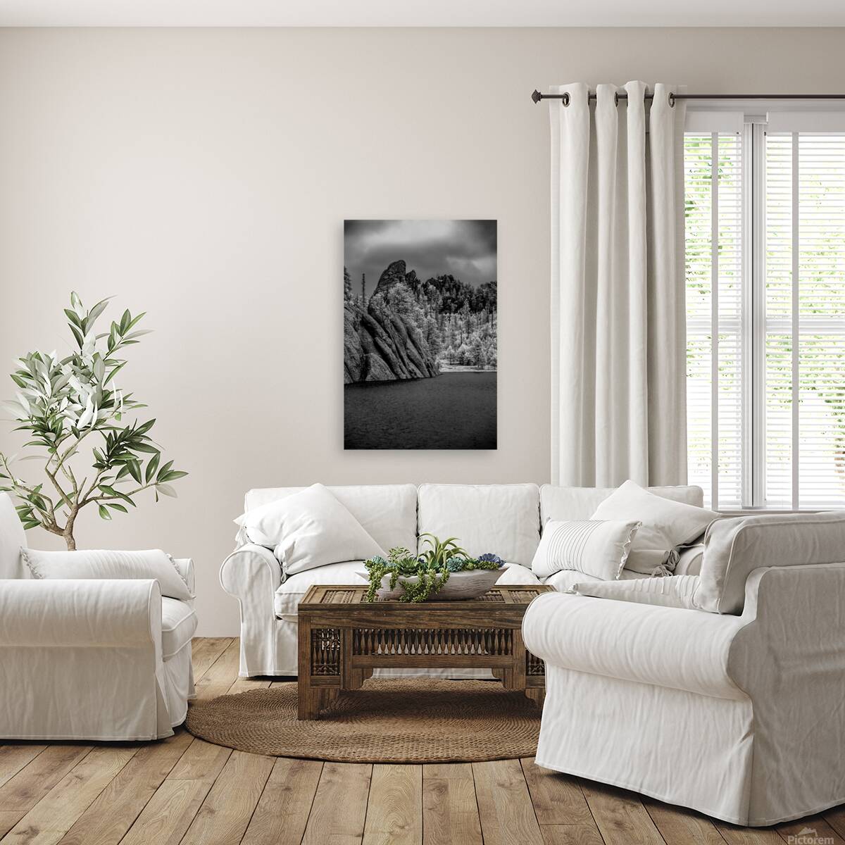 Sylvan Serenity: A Monochrome Tale of Natures Harmony in Custer  Reproduction