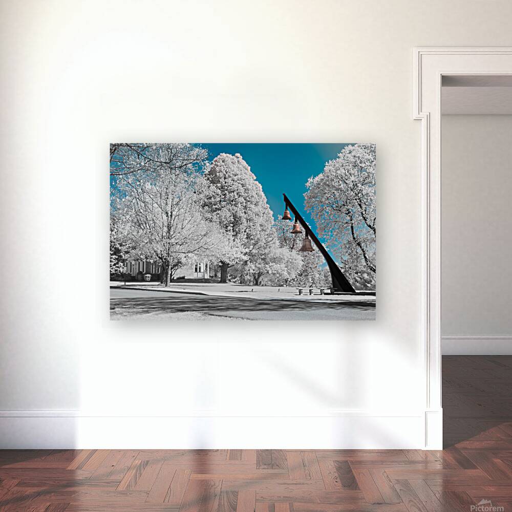 Infrared Exploration: Unveiling the Beauty of Seminary Bells in  Reproduction