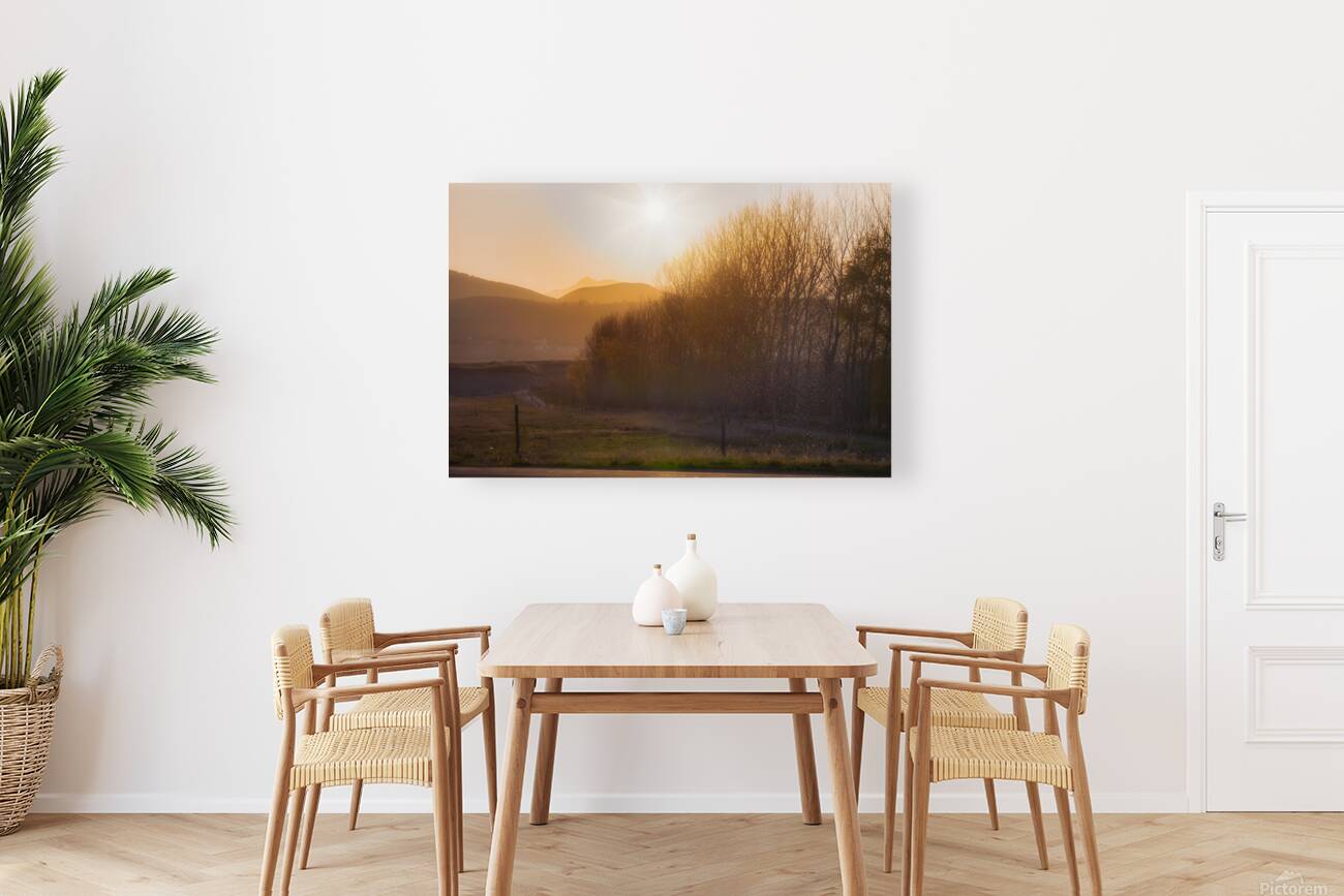 Natures Amber Hour Reproduction