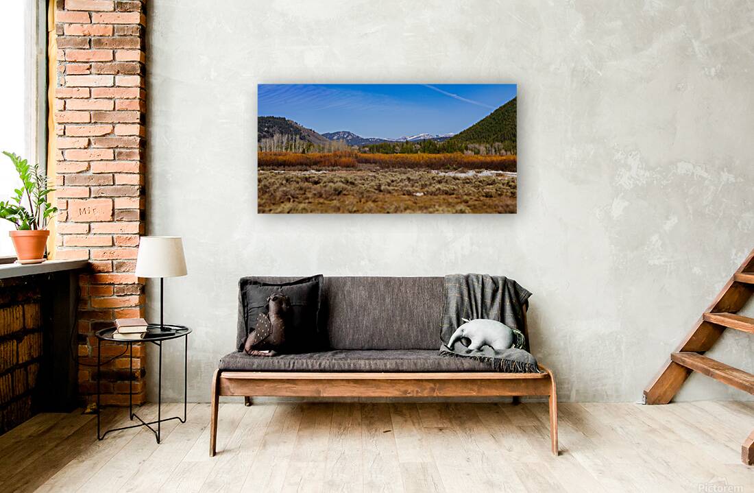 Layers of Winter Promise Reproduction