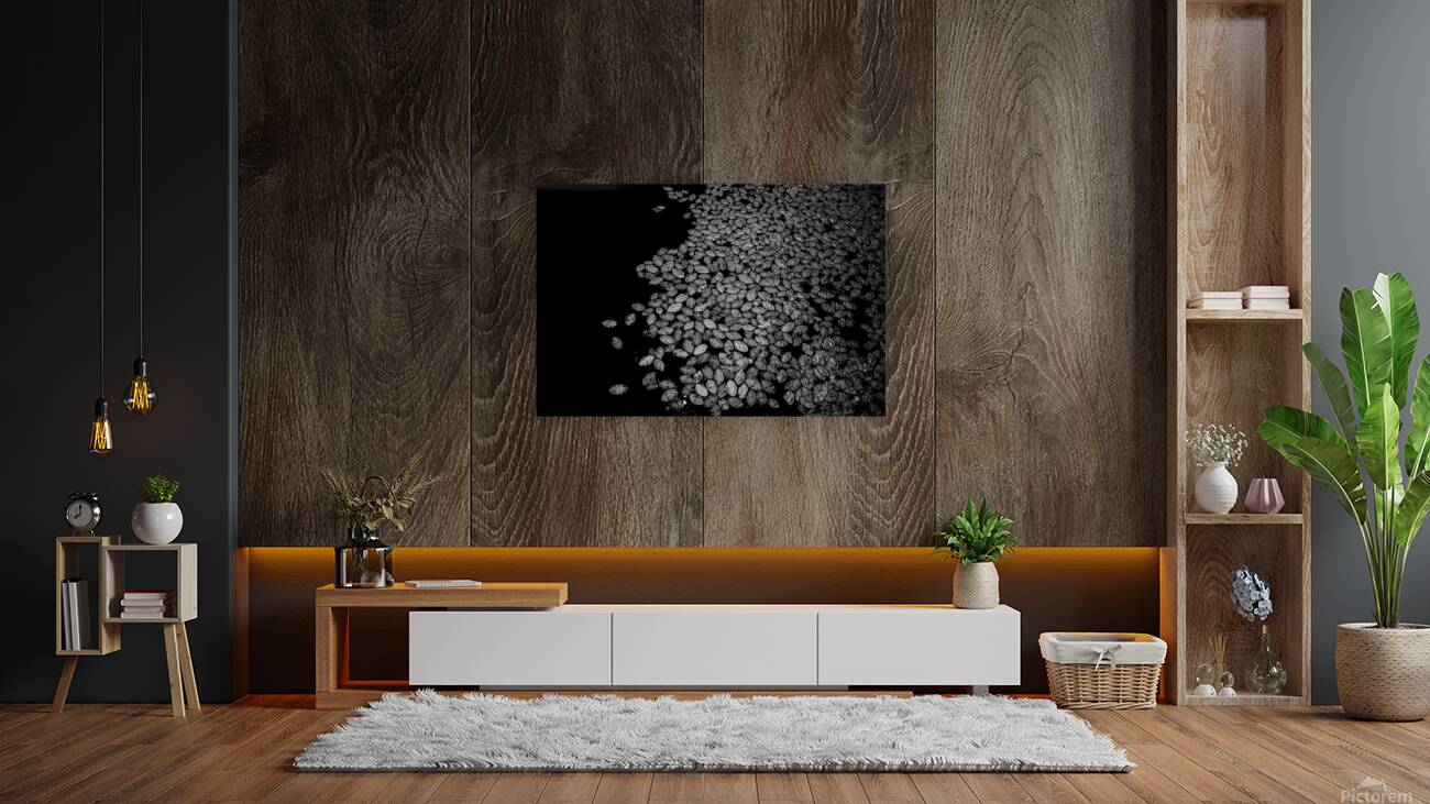 Lily Pad Dance Reproduction