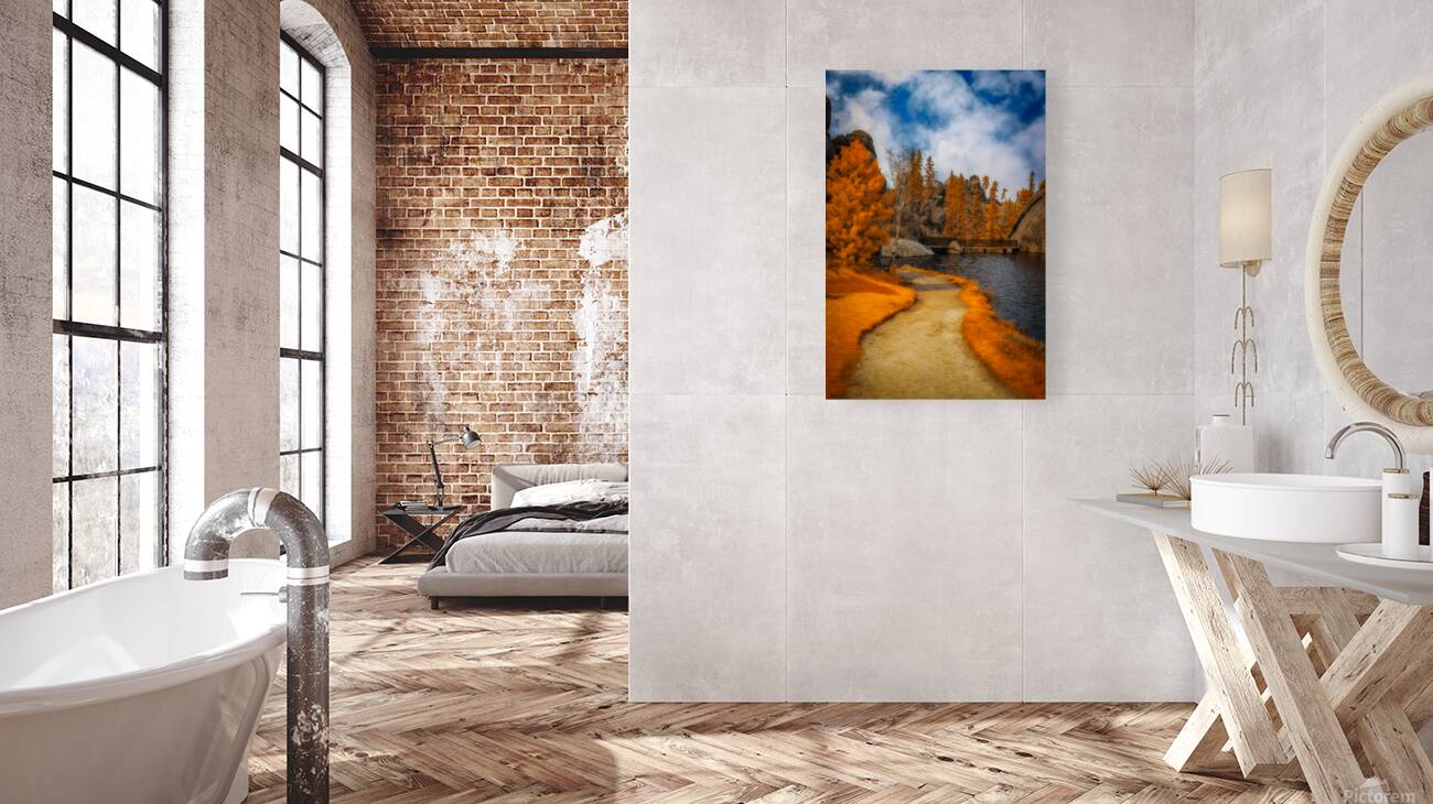 Autumnal Serenity: Sylvan Lake Path in Infrared Reproduction