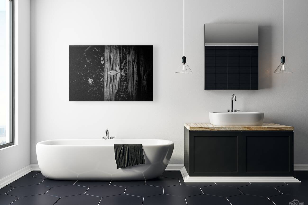 Step Above  Reproduction