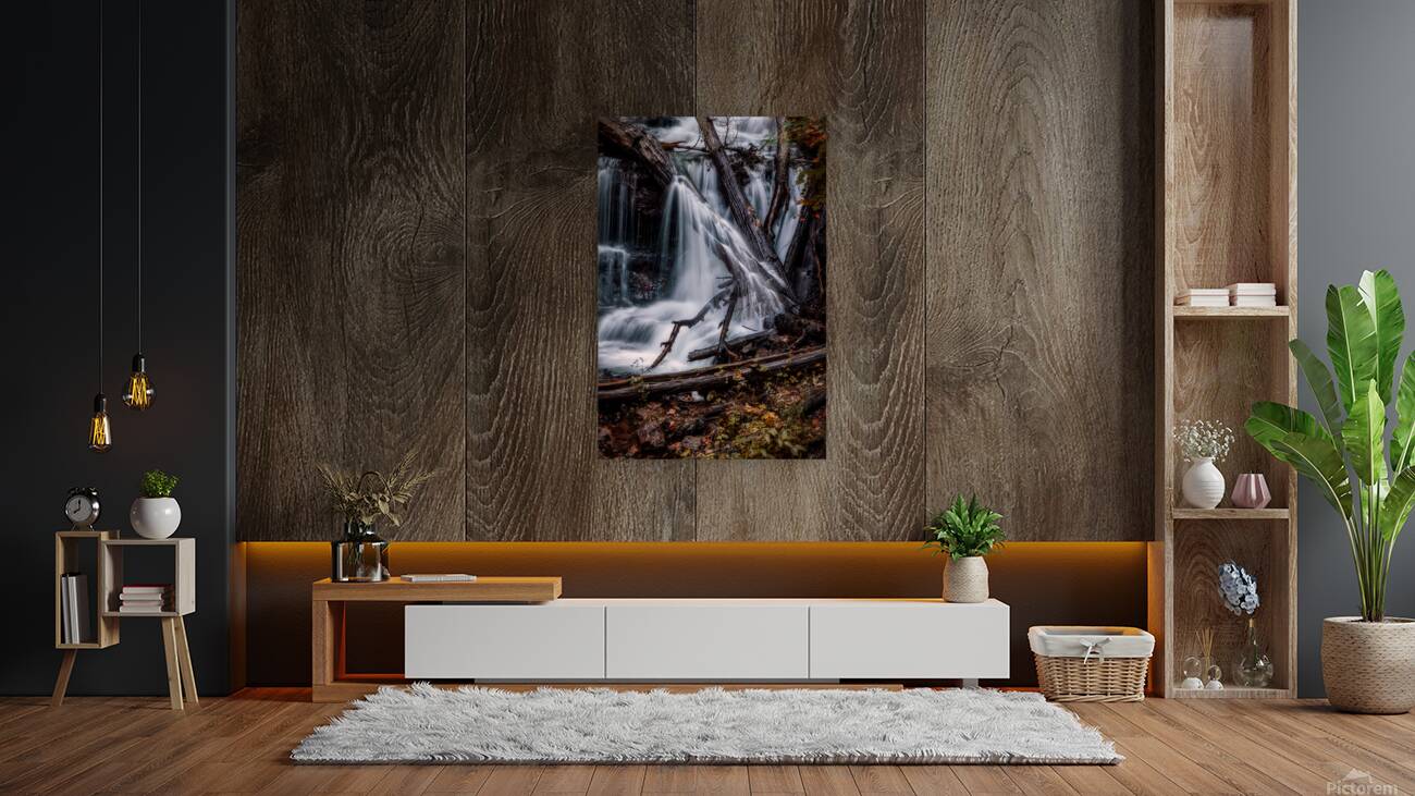 Liquid Light Through Natures Framework Reproduction