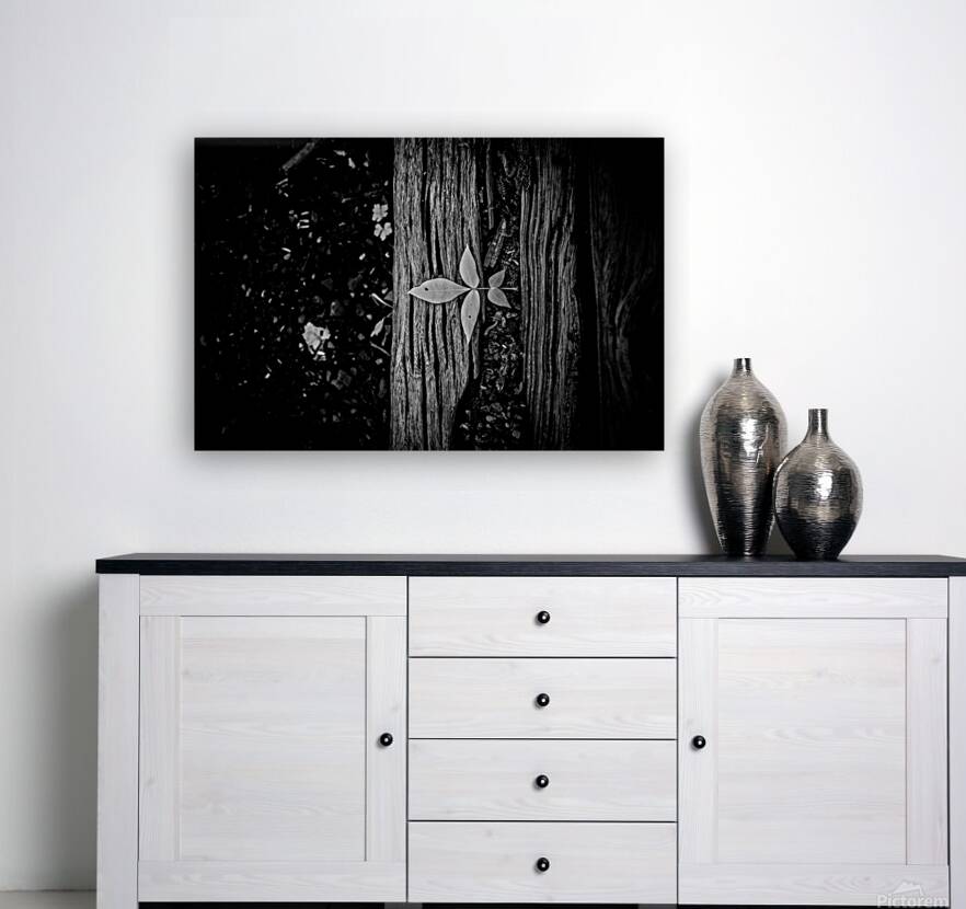 Step Above  Reproduction