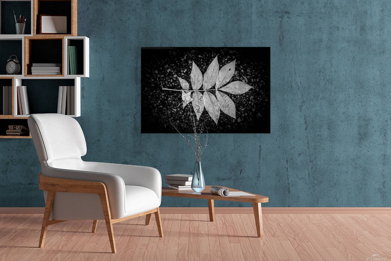 Natures Blueprint Reproduction