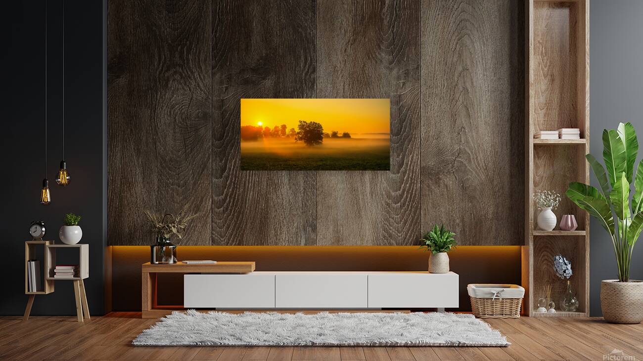 Dawns Embrace: Misty Tree in Gettysburg Reproduction