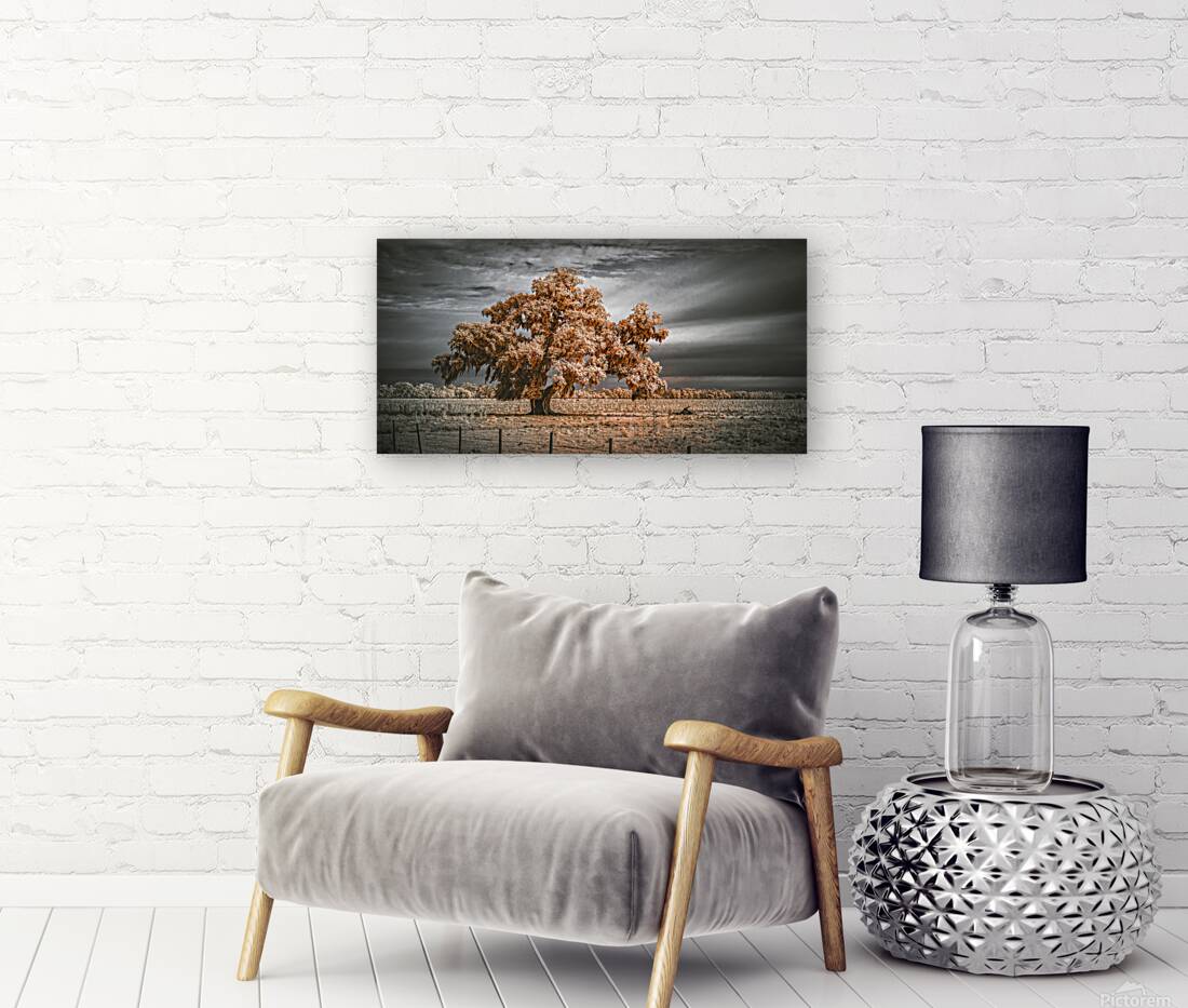 Guardian of the Bayou Country Reproduction