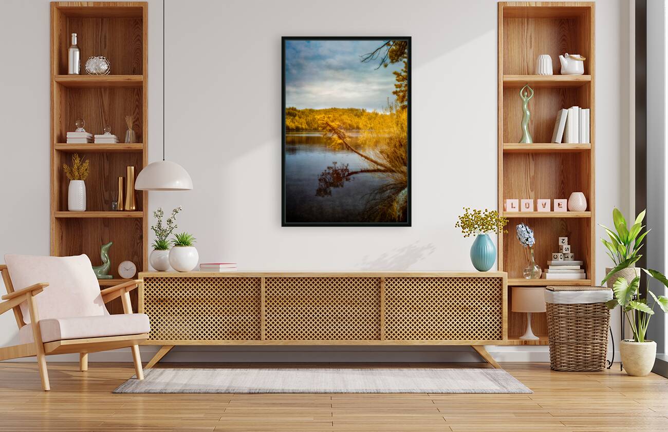 Shadows and Reflections: Overhanging Trees on Center Lake Reproduction