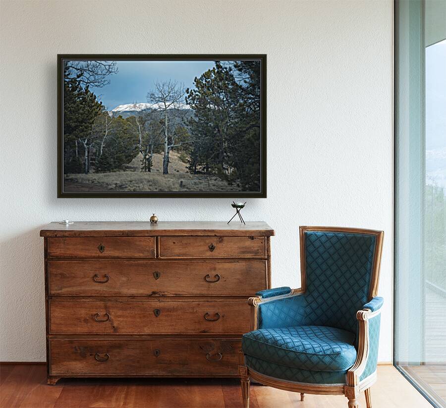 Mountain Meadow Serenity Reproduction