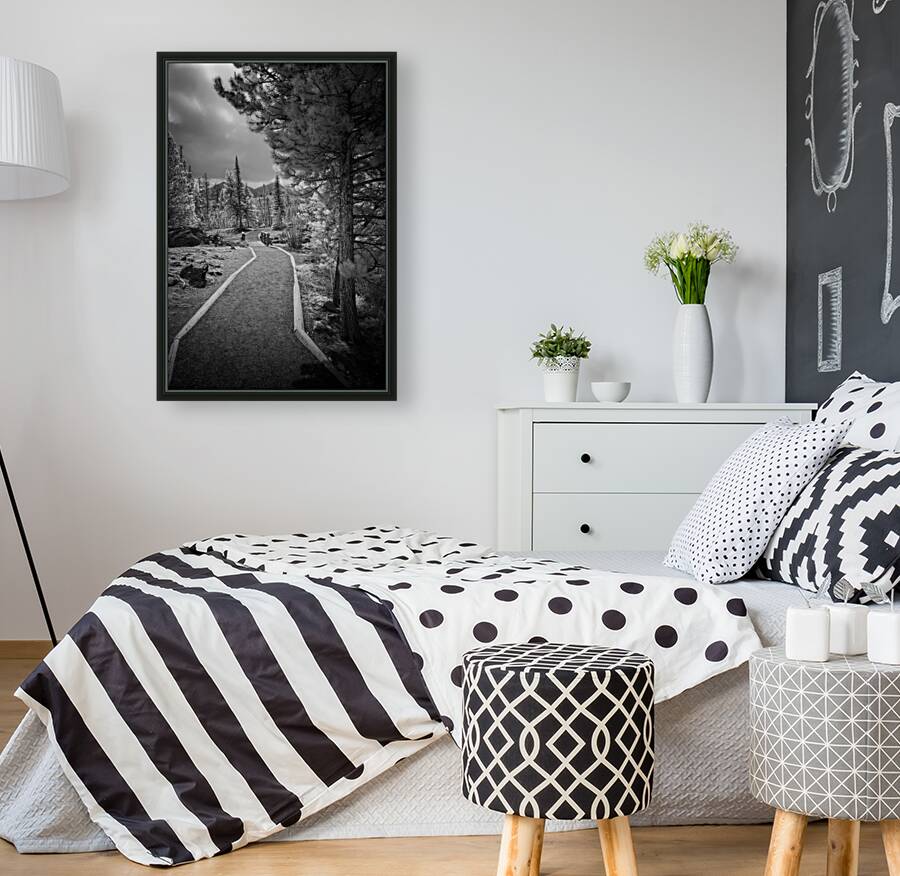 Sprague Lake Path Reproduction