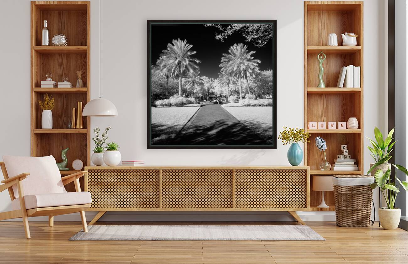 Monochrome Serenity: Palm Tree Harmony in Saint Marys Georgia Park Reproduction