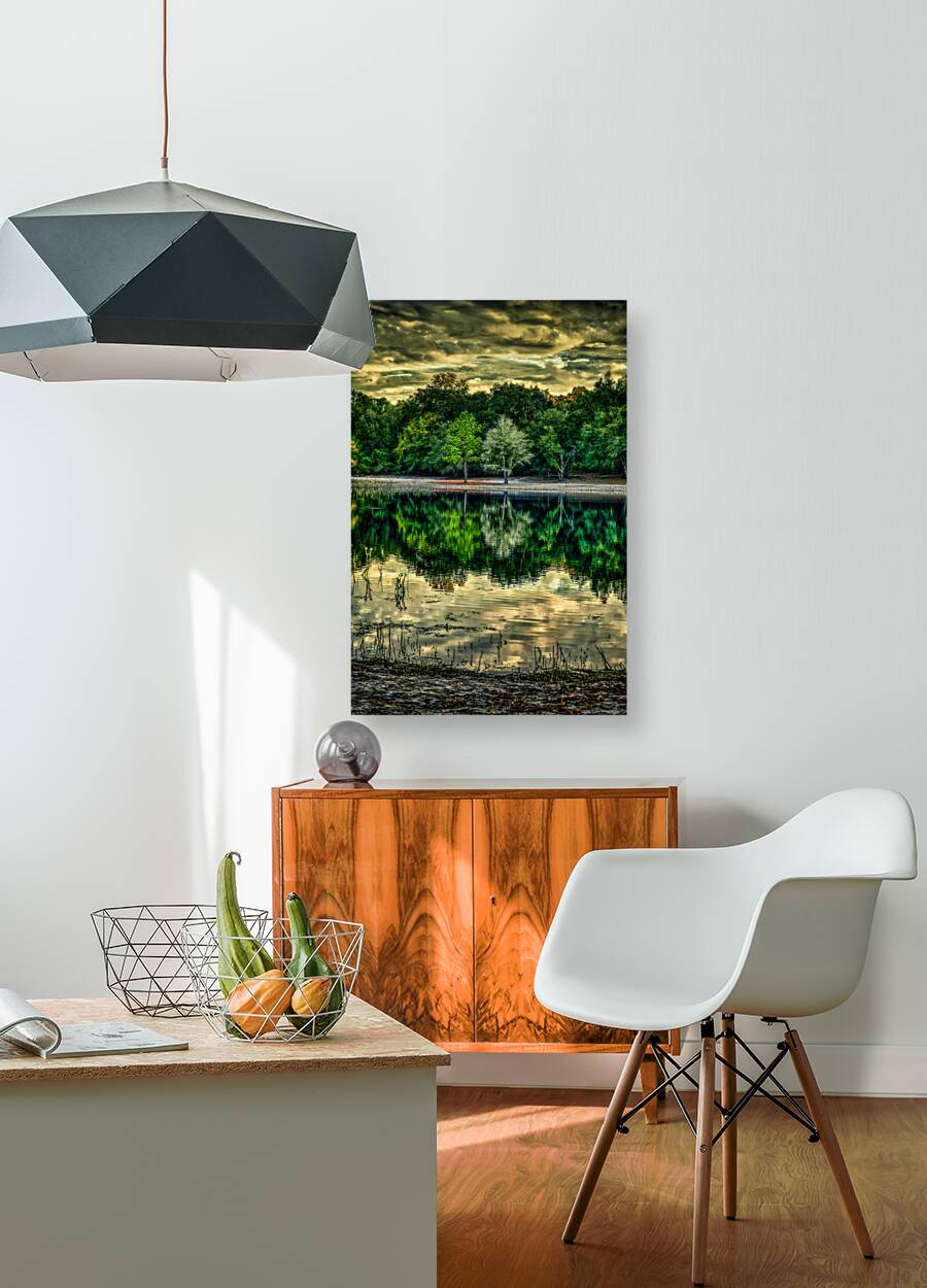 Florida Dreamscapes: Indian Lake State Forest Reproduction