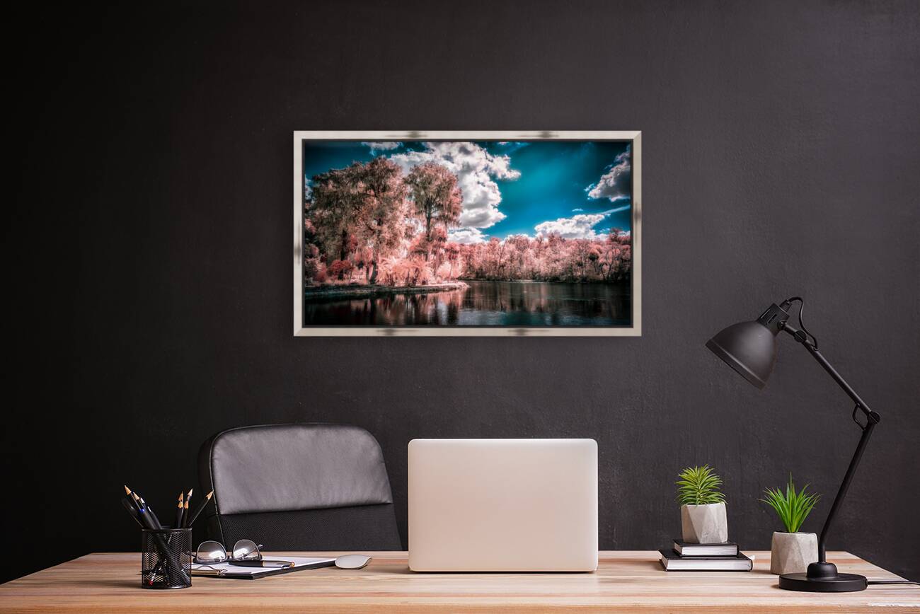 Fantastical Foliage: Silver Springs State Park Reproduction