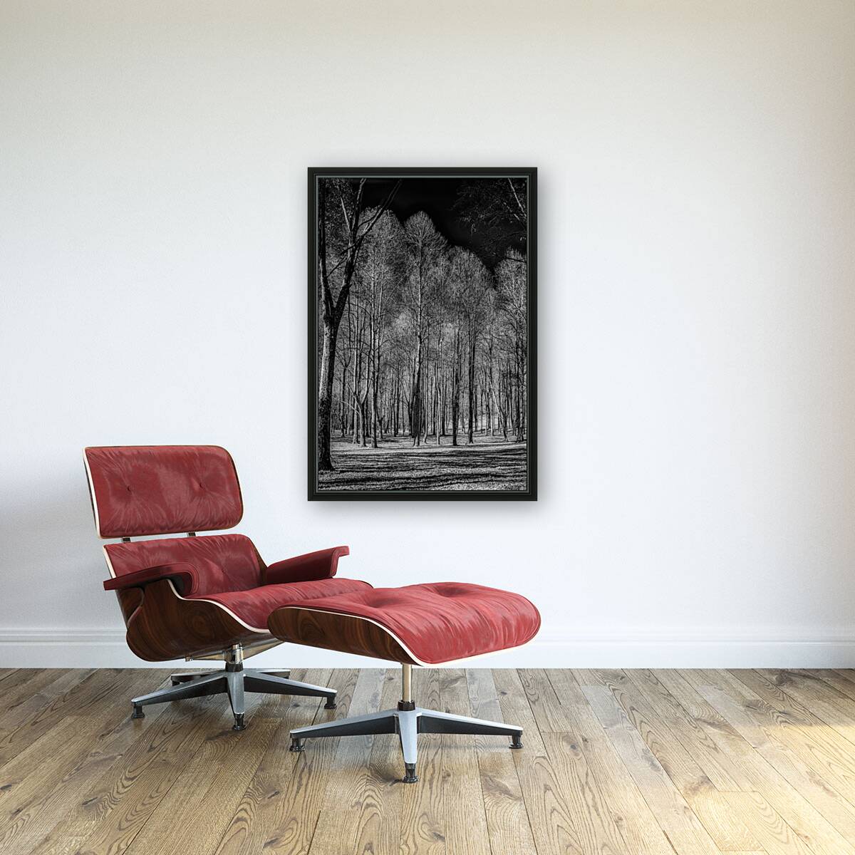 Winters Monochrome Symphony: A Stark Journey Through Knoxvilles Enchanted Woodlands Reproduction