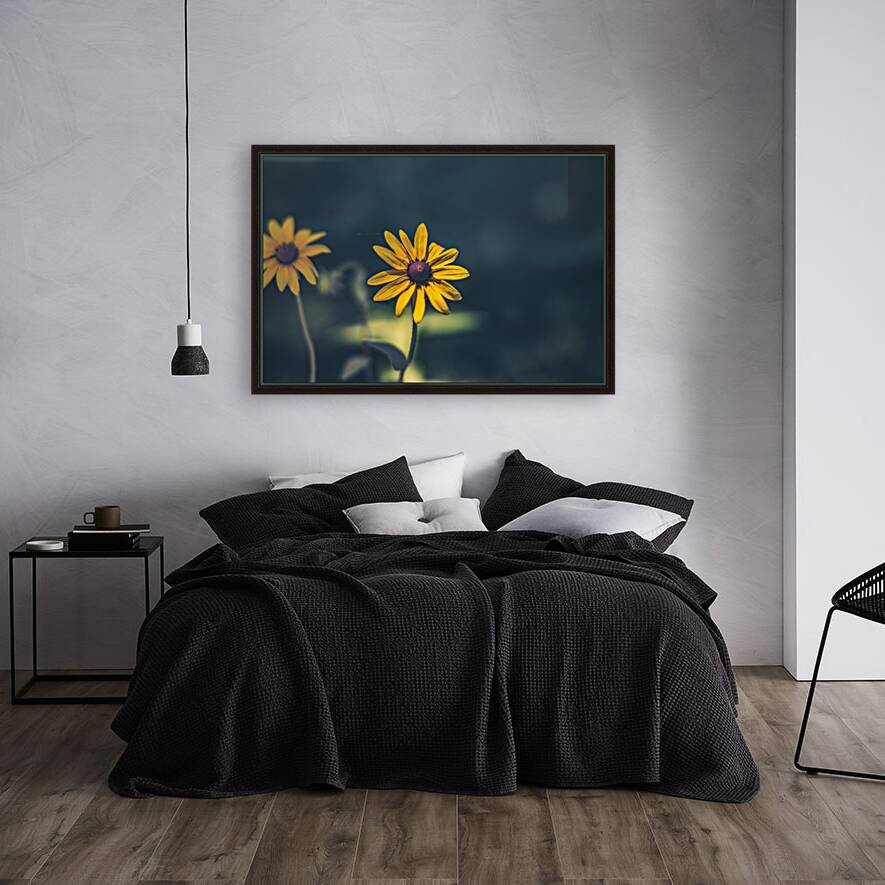 Vibrant Blooms: Full Spectrum Photography of Black-Eyed Susan Flowers in Tennessee Reproduction