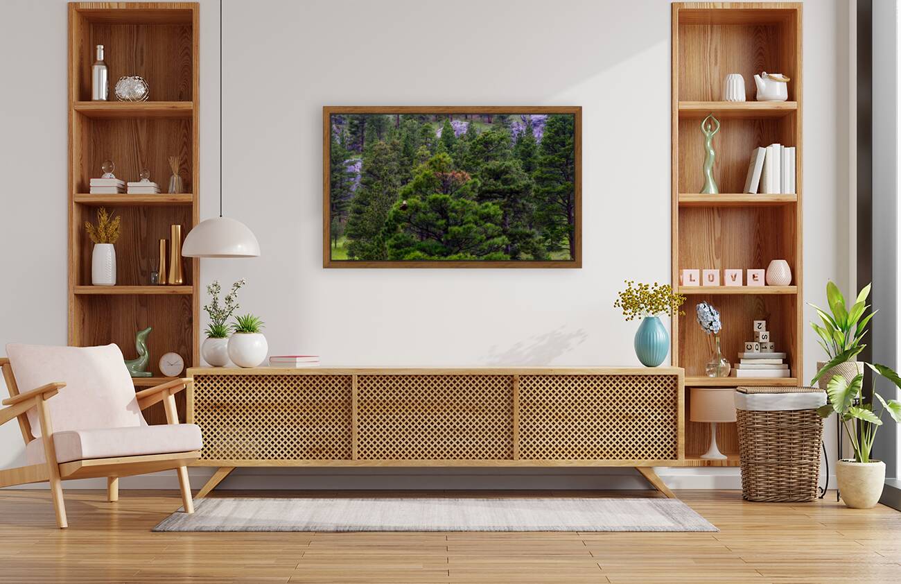 Old Baldy Reproduction