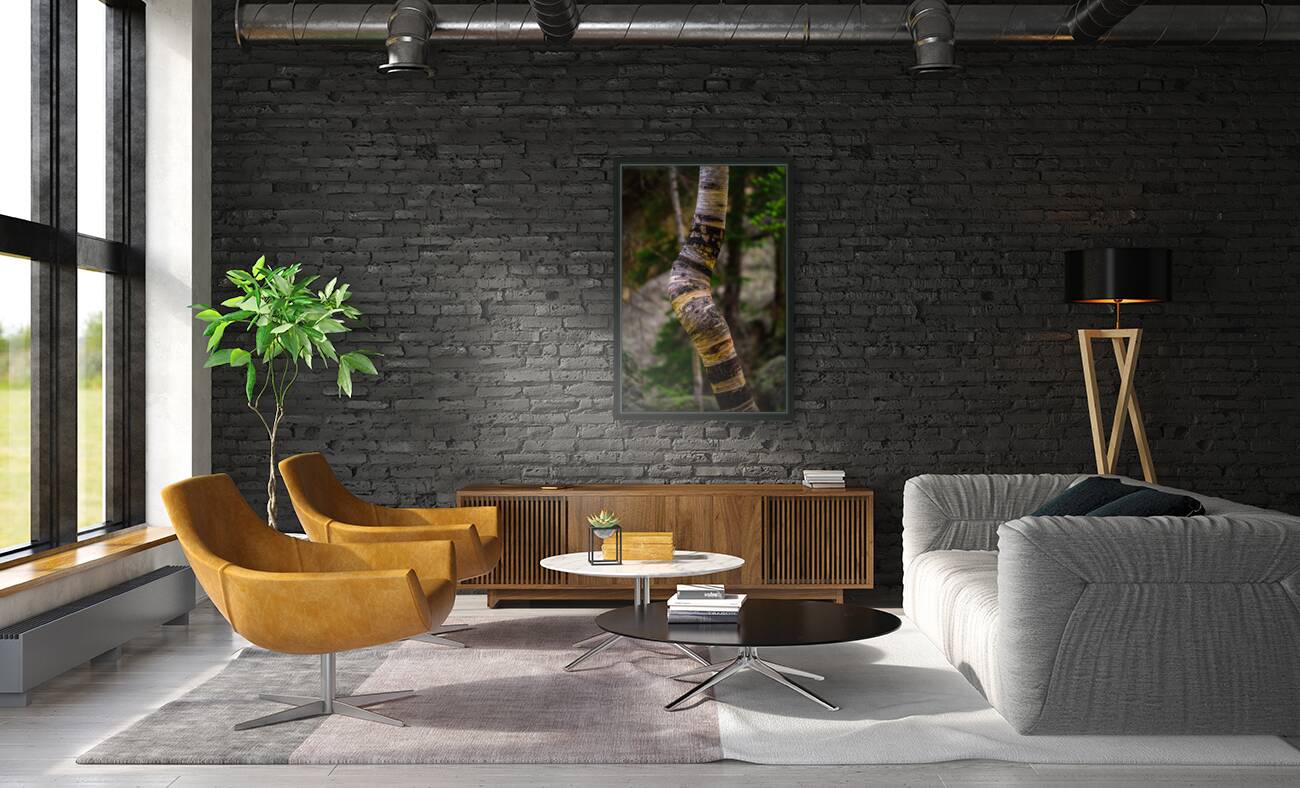 Exploring Sylvan Lake: Capturing the A Bent Aspen Reproduction