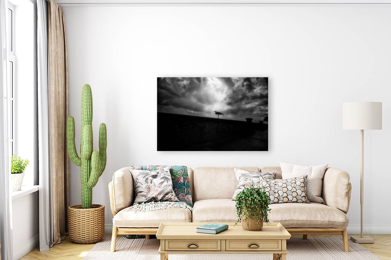 Rainy Day Stroll: Capturing Serenity with a Silhouetted Bird Reproduction