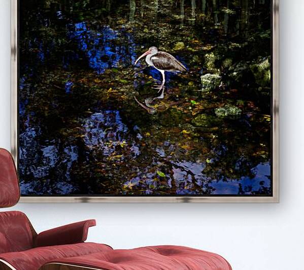 Songbirds and Sunshine: A Day of Birdwatching Bliss by Dream World Images