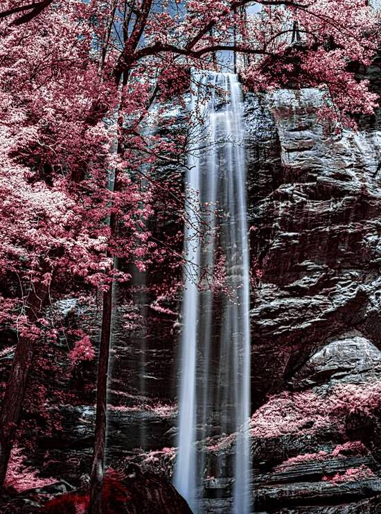 Tranquil Veil - Pink Falls by Dream World Images