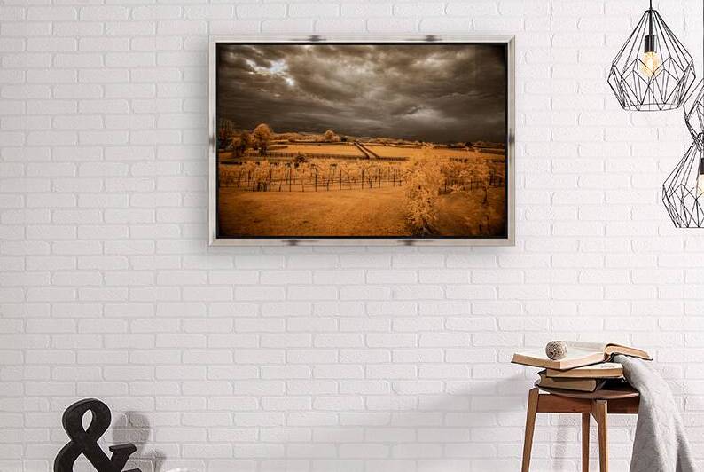 Golden Vineyard by Dream World Images