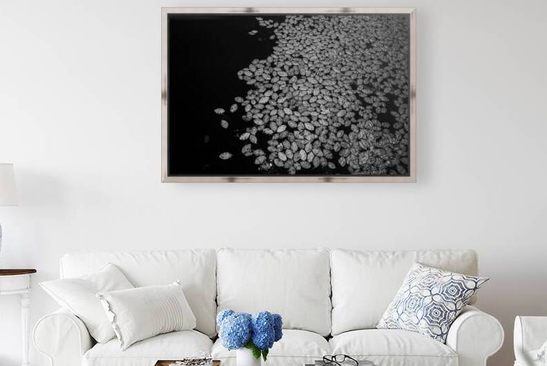 Lily Pad Dance by Dream World Images