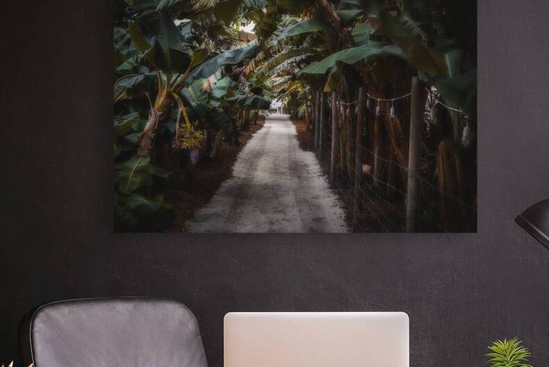 Banana Canopy Secrets by Dream World Images