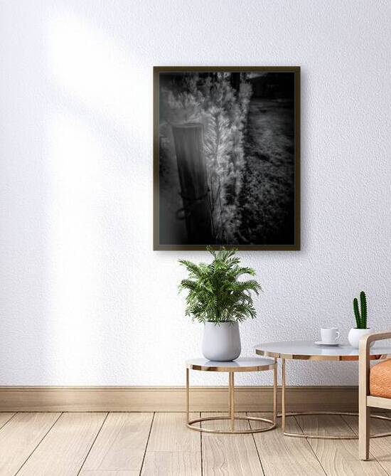 Luminous Intricacy by Dream World Images