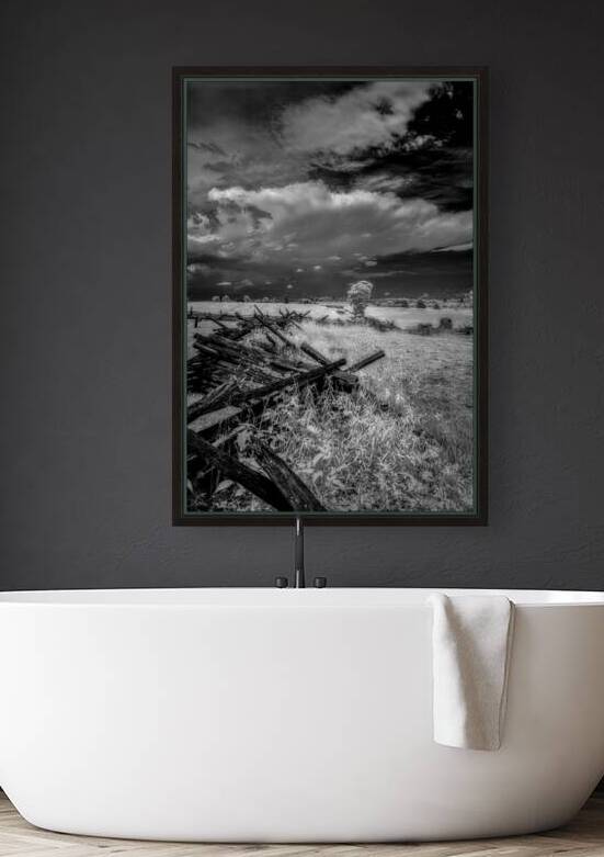 The Balance of Natures Chaos by Dream World Images