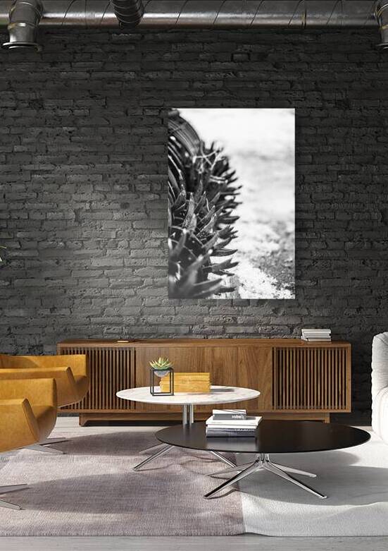 Rustic Relic - Nebraska Death Wheel by Dream World Images