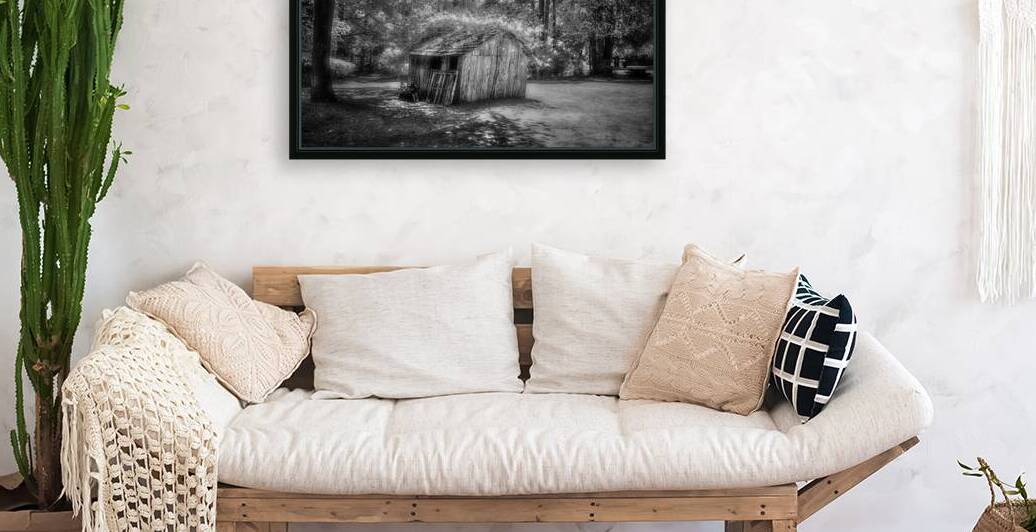 Whispers of Time in Wooded Shadows by Dream World Images