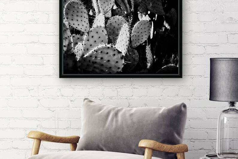 extures of the Desert by Dream World Images