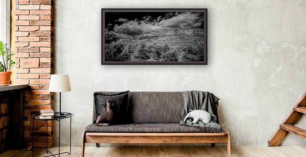 Desert Majesties in Monochrome by Dream World Images