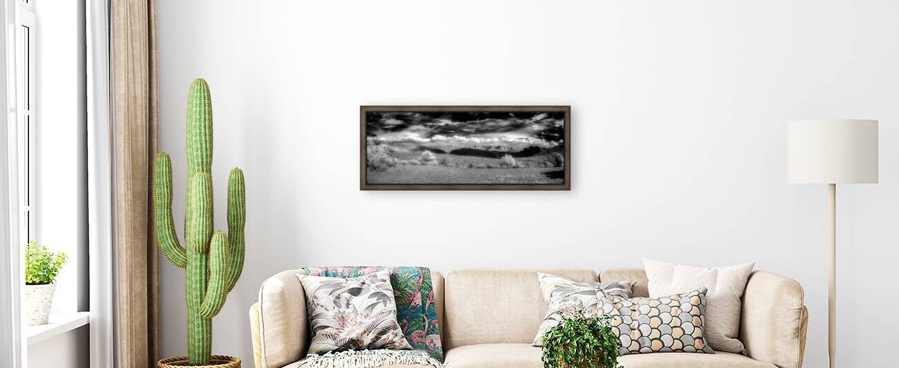 Shadows and Light on a Barren Canvas by Dream World Images