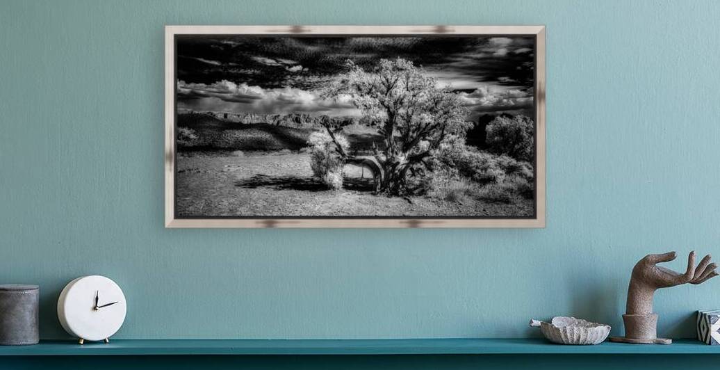 Bark and Cloud: A Monochrome Dialogue by Dream World Images