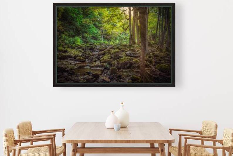 Moss Kissed Canopy Light by Dream World Images