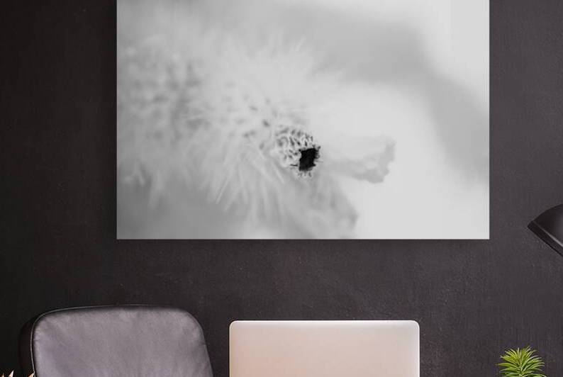 Prickly Veil by Dream World Images