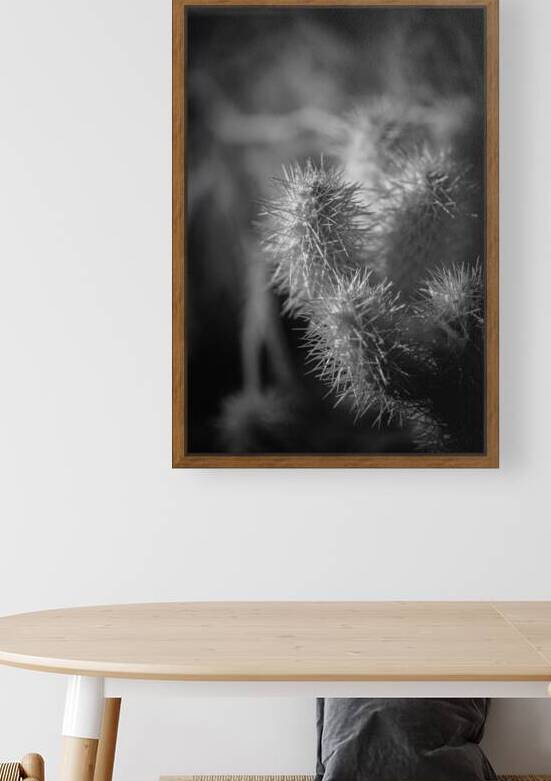 Textures of Thorn and Light by Dream World Images